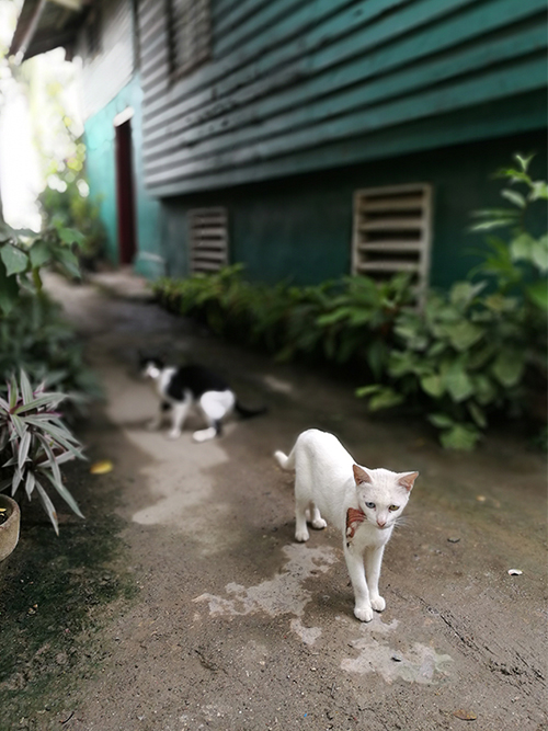 天易海工最美施工摄影作品展(一) 天易海工最美施工摄影作品展(一)