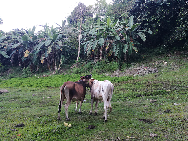 天易海工最美施工摄影作品展(一) 天易海工最美施工摄影作品展(一)
