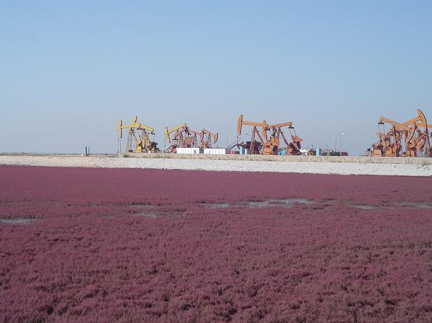 天易海工最美施工摄影作品展(一) 天易海工最美施工摄影作品展(一)