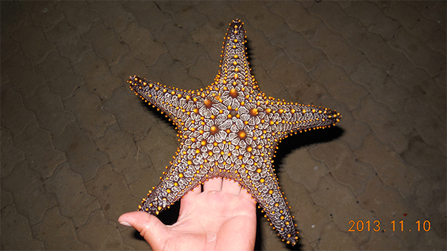 天易海工最美施工摄影作品展(二) 天易海工最美施工摄影作品展(二)