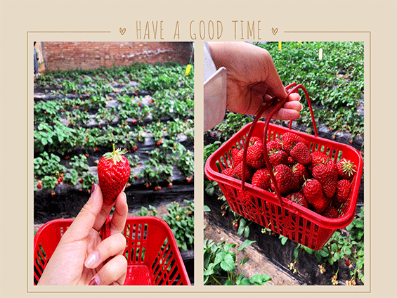 北国江南——杨柳青庄园之旅