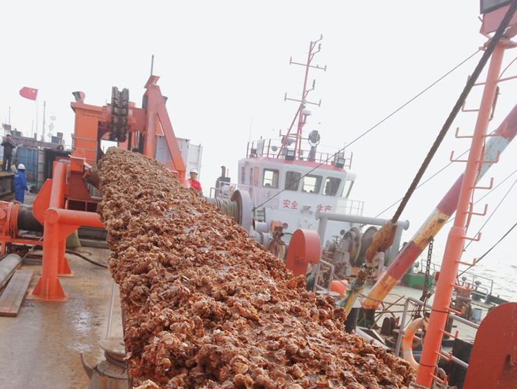 原渤西弃置海管高沙岭区海管回收项目顺利完工！