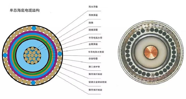 海底电缆基础介绍