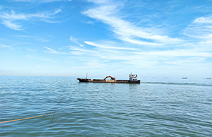 曹妃甸工业区入海排污口工程项目顺利完工