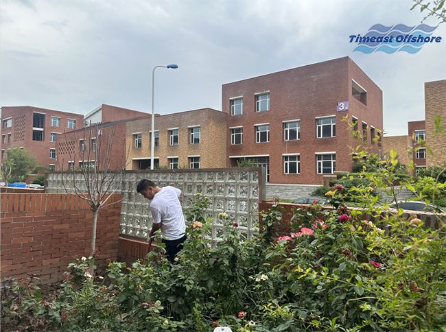 不负秋意好时光，天易小院儿正忙