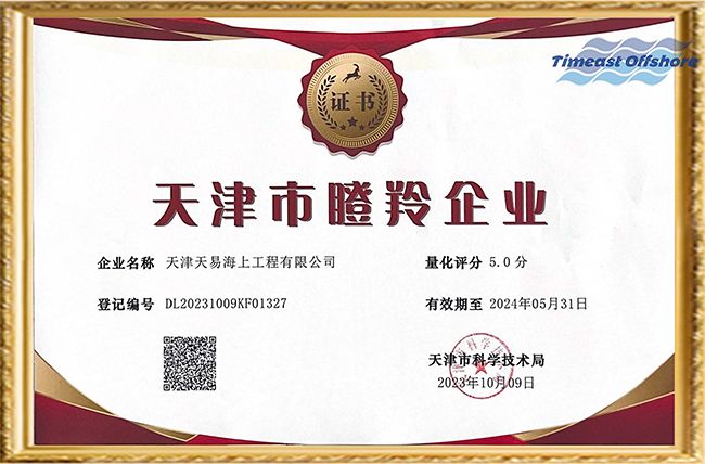 喜报丨天易海工荣获“天津市创新型中小企业”和“天津市瞪羚企业”双重认定 喜报丨天易海工荣获“天津市创新型中小企业”和“天津市瞪羚企业”双重认定